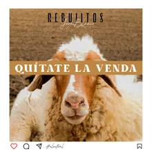 Quítate la venda