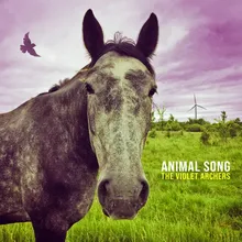 Animal Song