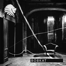 Bobkat