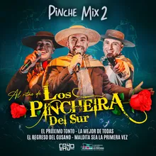 Pinche Mix 2