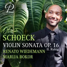 Violin Sonata in D Major Op. 16: II. Ruhig