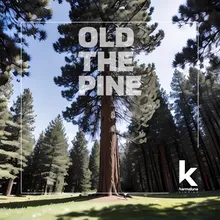 Old The Pine