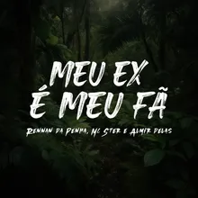 Meu Ex É Meu Fã