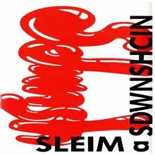 Sleim ics