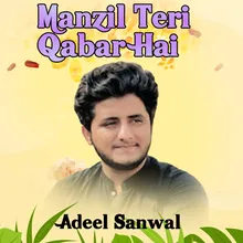 Manzil Teri Qabar Hai