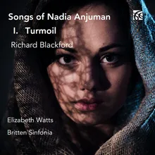 Songs of Nadia Anjuman: No. 1, Turmoil