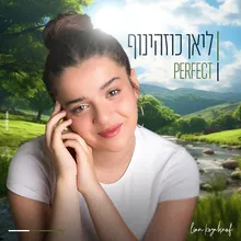 Perfect (Cover)