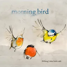 Morning bird