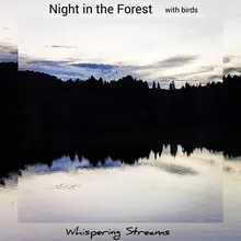 Night in the Forest