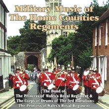 The Queen's Regiment - Soldiers Of The Queen