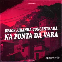 DESCE PIRANHA CONCENTRADA NA PONTA DA VARA