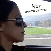 שדות של אירוסים