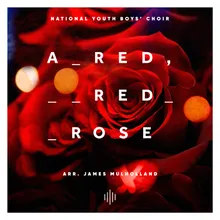 A Red, Red Rose