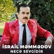 Necə Sevgidir