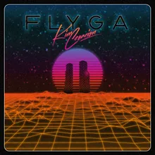 Flyga