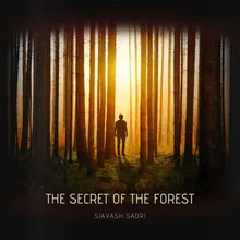 The Secret Of The Forest