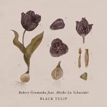 Black Tulip