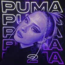 PUMA 2