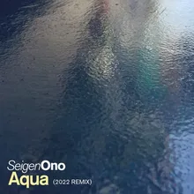 Aqua (2022 REMIX)