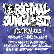 Everyday Junglist