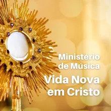 Vida Nova Em Cristo