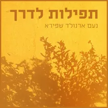 שבוע 19