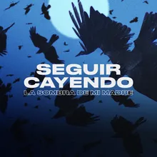 Seguir Cayendo