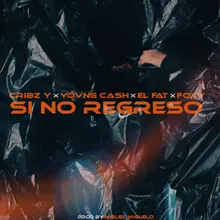 Si no regreso