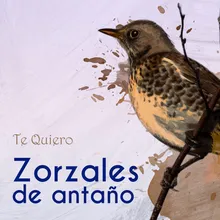 Canciones Del Corazón