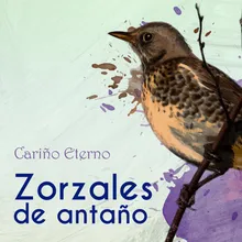 Cariño Eterno