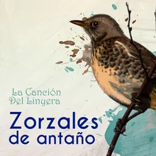 La Canción Del Linyera