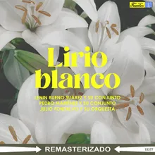 Lirio Blanco