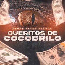 Cueritos De Cocodrilo