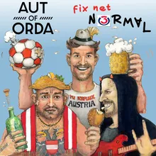 fix net normal