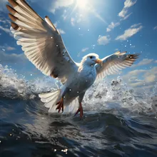 Lo-Fi Seagull