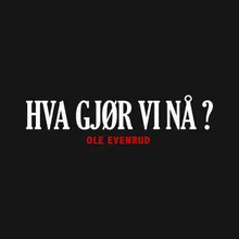 Hva Gjør Vi Nå?