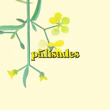 Palisades