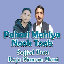 Pahari Mahiya Nook Took