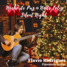 Noche De Paz/Noite Feliz/Silent Night