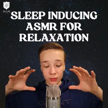 Relaxing Bites of Sleepiness