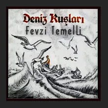 Deniz Kuşları