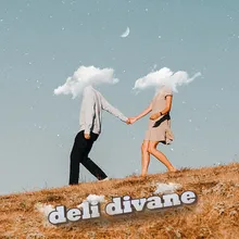 Deli Divane