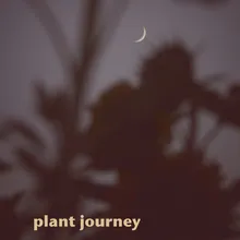 Plant Journey