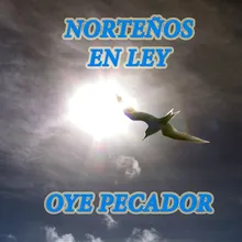 Soy Peregrino