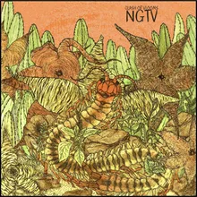 NGTV