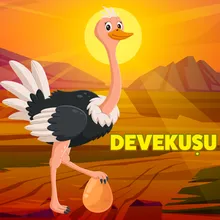 Devekuşu