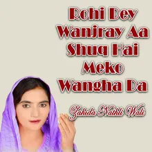 Rohi Dey Wanjray Aa Shuq Hai Meko Wangha Da