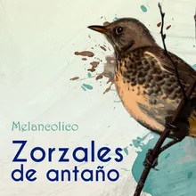 Melancolico