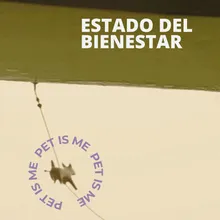 Estado del bienestar