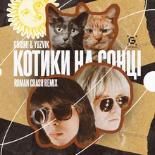 Котики на сонці